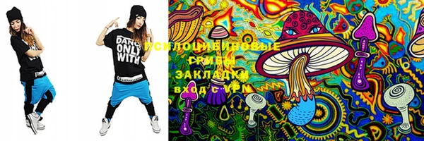 PSILOCYBIN Алексин