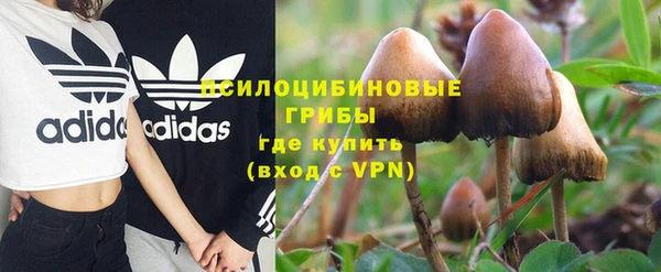 PSILOCYBIN Алексин